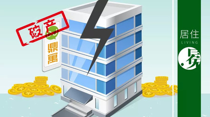 鼎家破產疑云:關聯公司的水到底有多深? || 深度